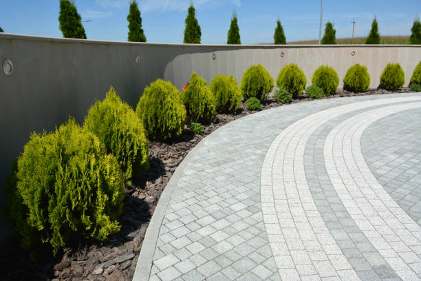 Best Interlocking Driveway Pavers  in Salem Heights, OH